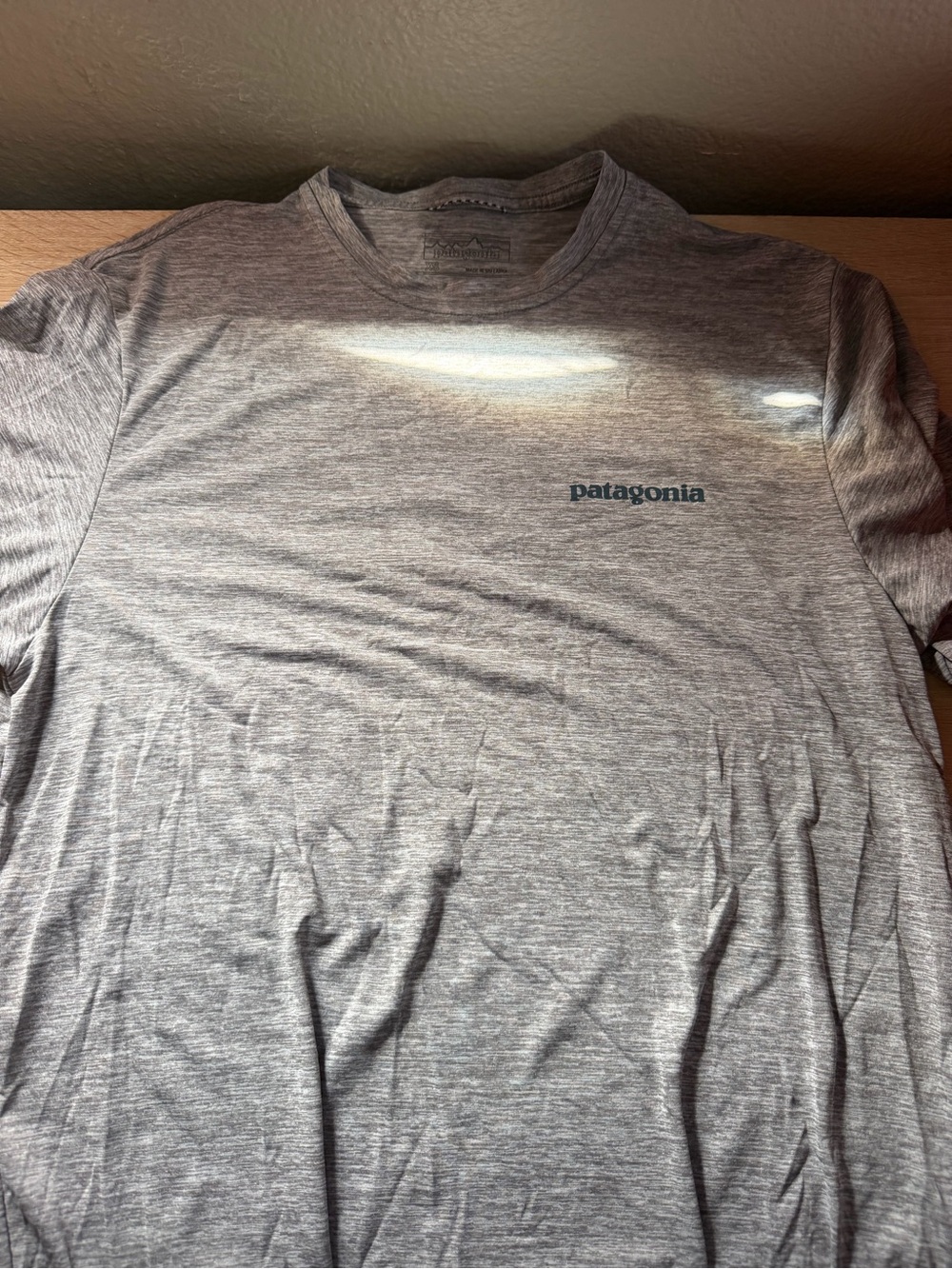 Patagonia Light Heather Gray Short Sleeve Logo Tee